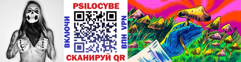 Псилоцибиновые грибы Cubensis  где найти   Котельники 